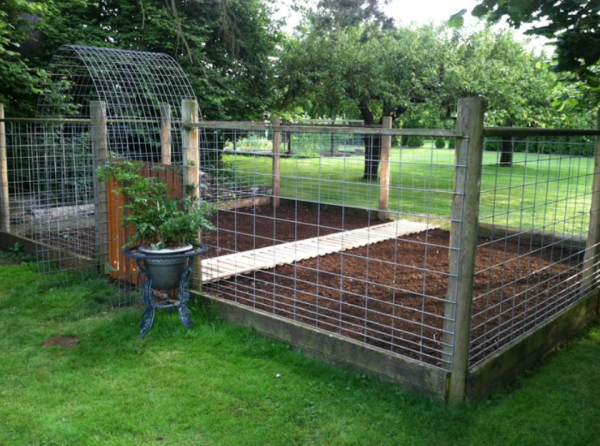 Desain Kandang Kambing di Kebun